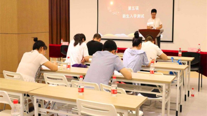 在线教育细分行业：揭秘差异与选择之道